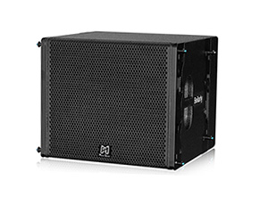 TW15S medium low linear array speaker